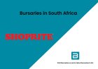Shoprite Group Bursary 2026